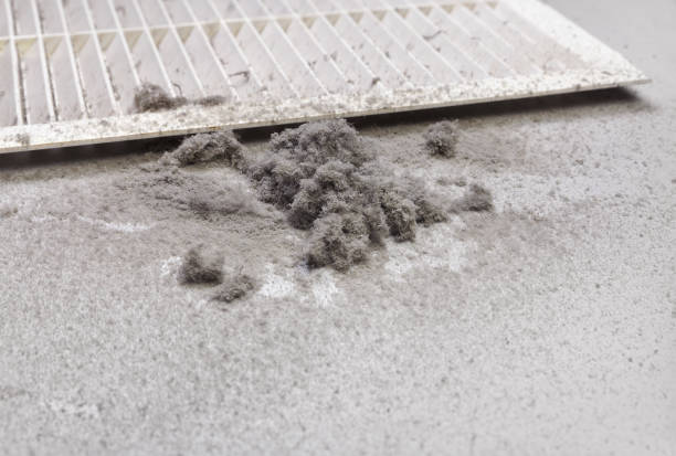Best HVAC Duct Inspection Services  in Porter Heights, TX