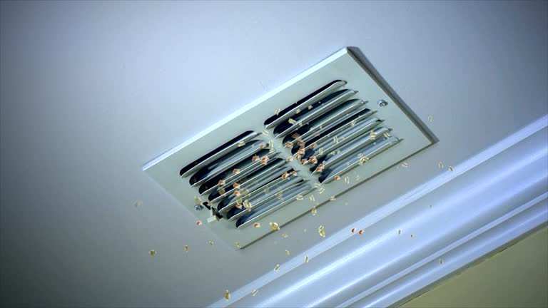 Affordable HVAC Duct Cleaning in TX