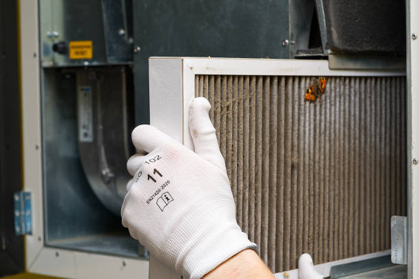 Best Home Air Vent Cleaning  in Porter Heights, TX
