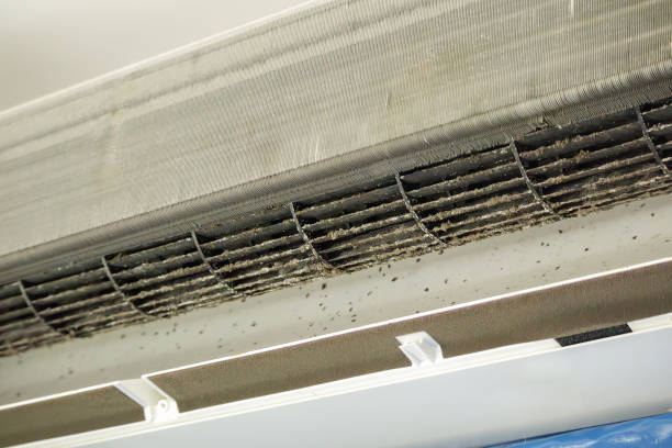 Best Air Duct Cleaning Near Me  in Porter Heights, TX
